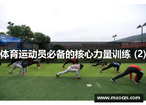 体育运动员必备的核心力量训练 (2)