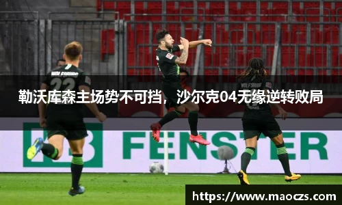 勒沃库森主场势不可挡，沙尔克04无缘逆转败局